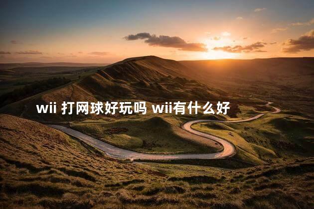 wii 打网球好玩吗 wii有什么好玩的游戏推荐